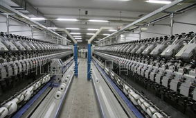 涤纱技艺与品牌力量 志远广告围裙厂的专业制作之路